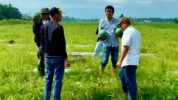 Apdesi Sulsel Apresiasi Kejari Lutim, Satukan Penegakan Hukum dan Ketahanan Pangan