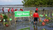 Telkomsel dan AKADS Tanam 1000 Bibit Mangrove di Pangkep Lewat Program Telkomsel Jaga Bumi